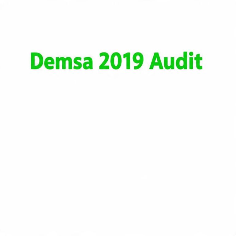 DEMSA LG Financial Statement 2019
