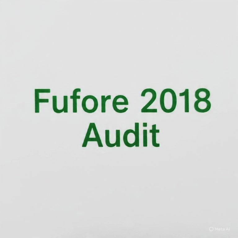 FUFORE LG Financial Statement 2018