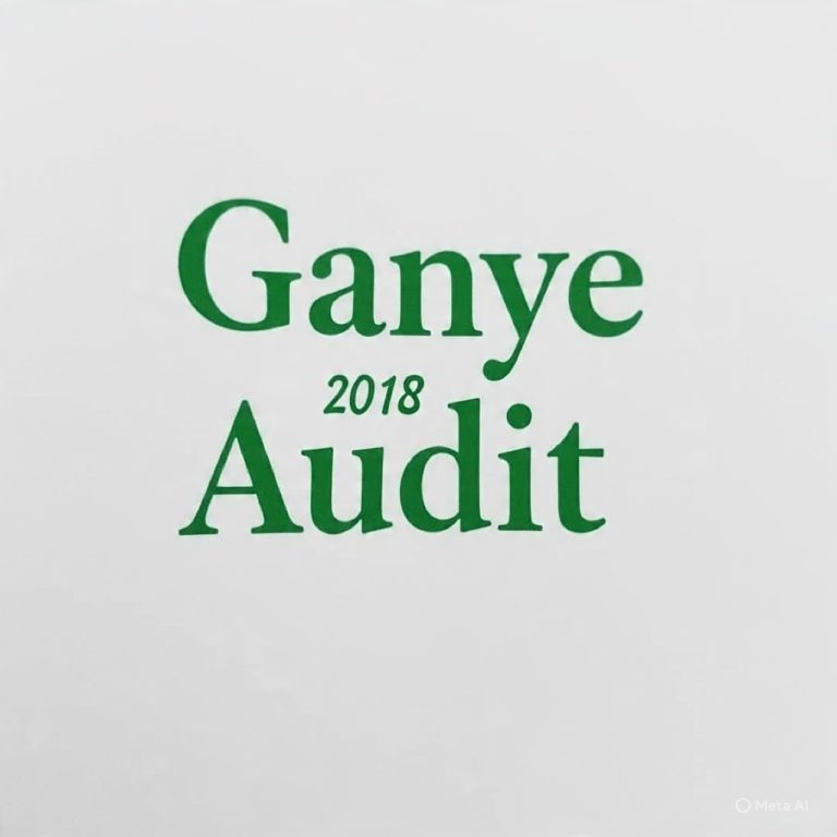 GANYE LG Financial Statement 2018