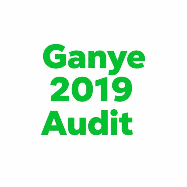 GANYE LG Financial Statement 2019