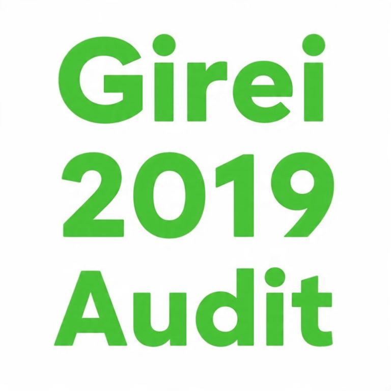 GIREI LG Financial Statement 2019