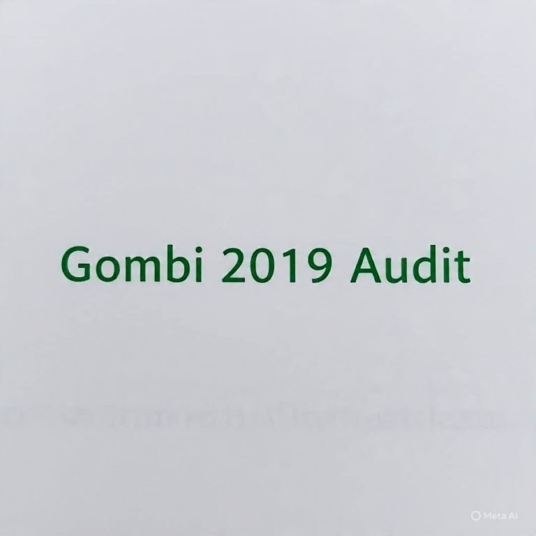 GOMBI LG Financial Statement 2019
