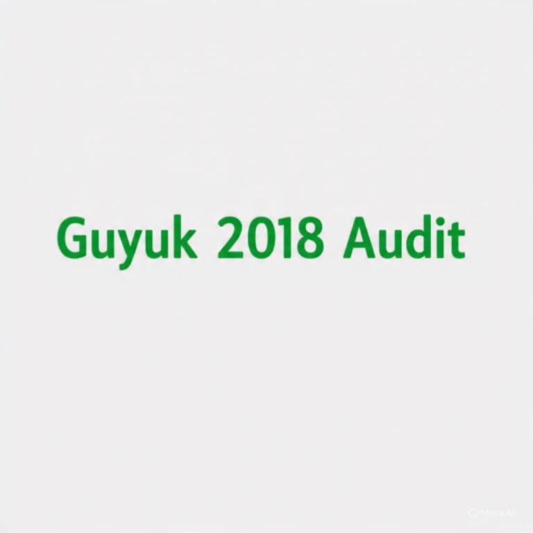GUYUK LG Financial Statement 2018