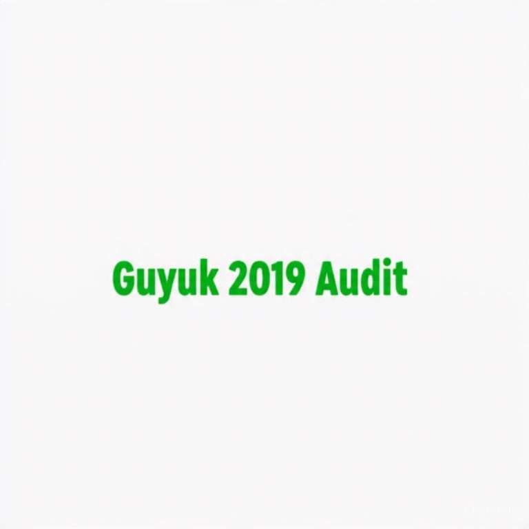 GUYUK LG Financial Statement 2019