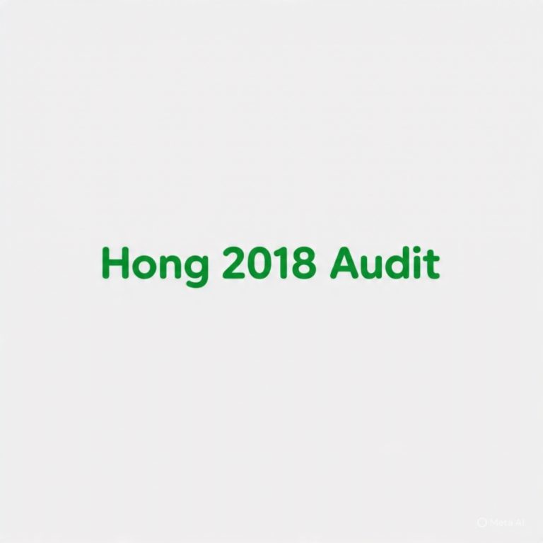 HONG LG Financial Statement 2018