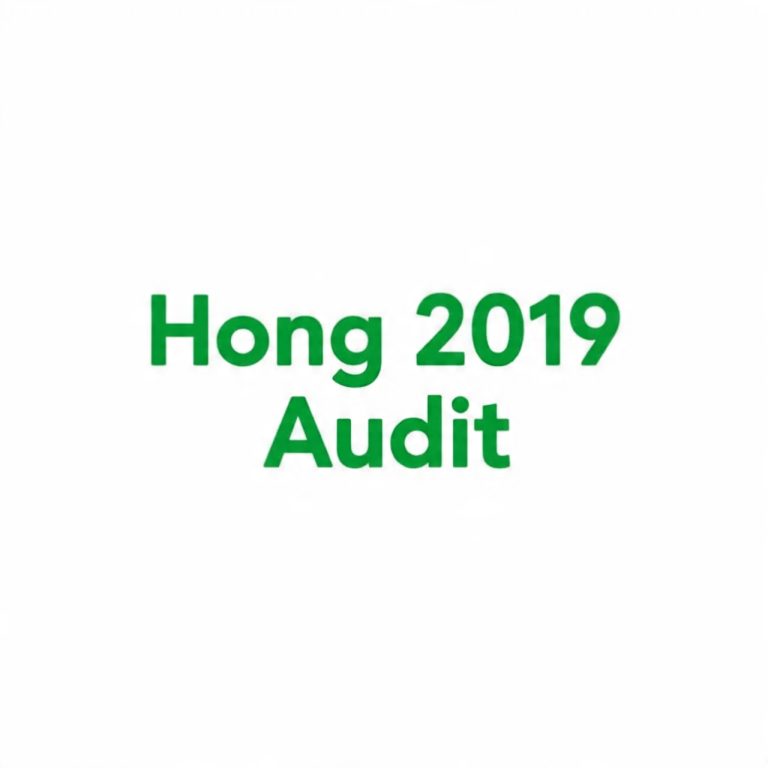 HONG LG Financial Statement 2019