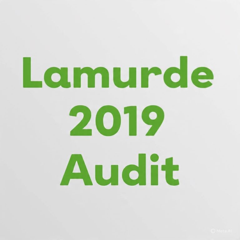 LAMURDE LG Financial Statement 2019