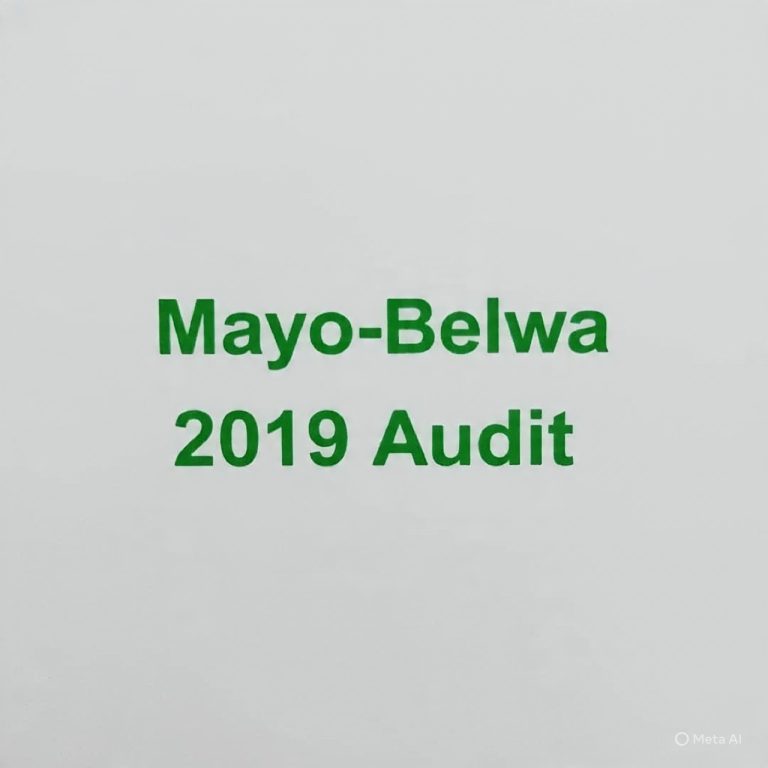 MAYO-BELWA LG Financial Statement 2019