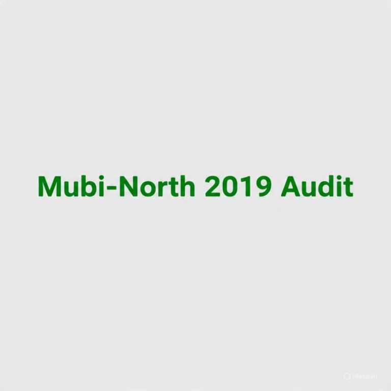 MUBI-NORTH LG Financial Statement 2019