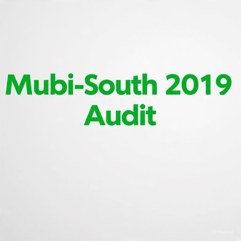 MUBI-SOUTH LG Financial Statement 2019