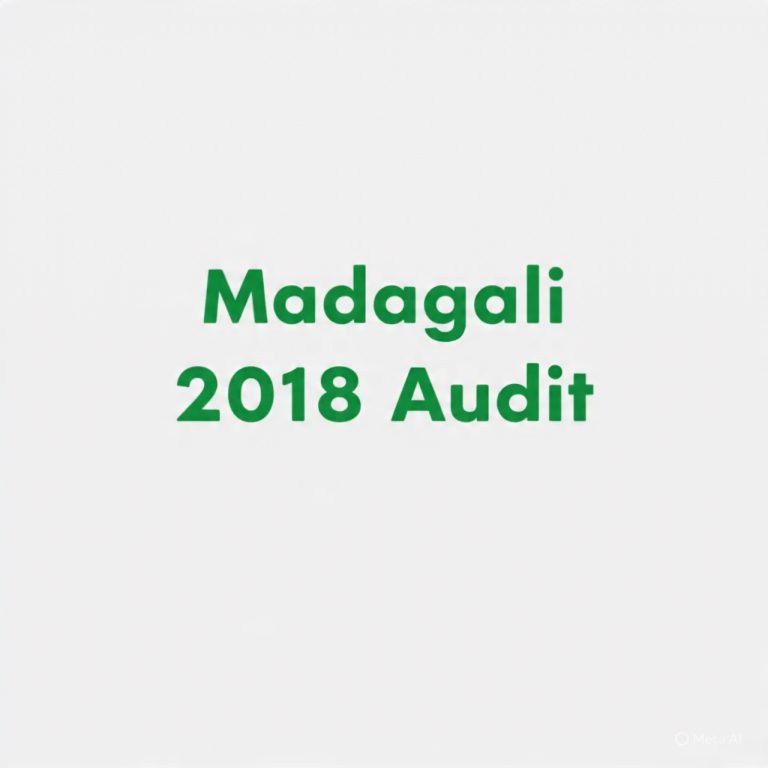 MADAGALI LG Financial Statement 2018