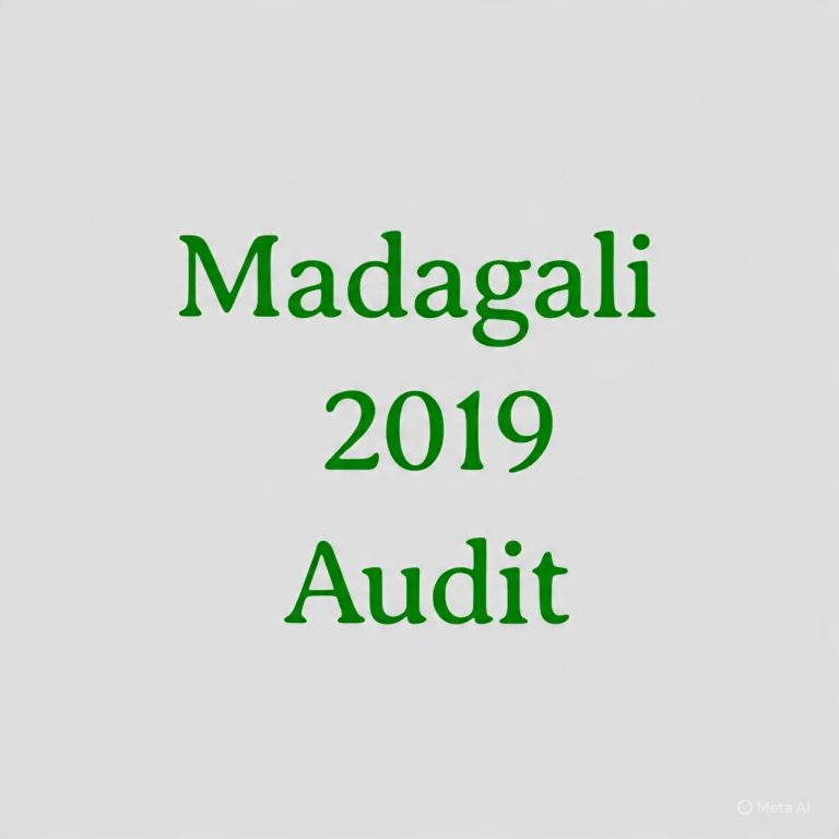 MADAGALI LG Financial Statement 2019
