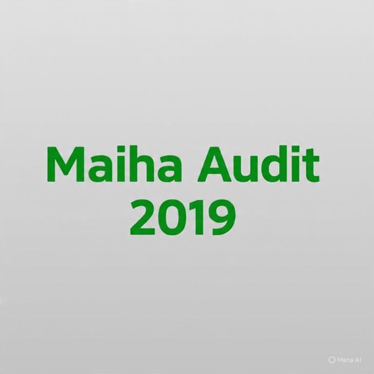 MAIHA LG Financial Statement 2019