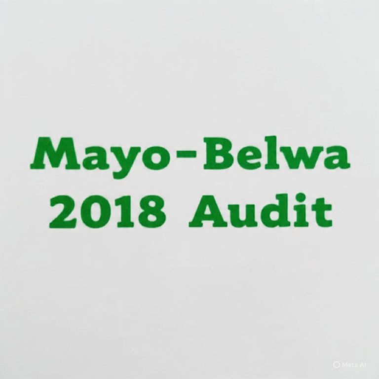 MAYO-BELWA LG Financial Statement 2018