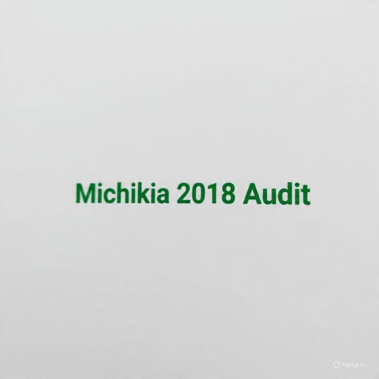 MICHIKA LG Financial Statement 2018