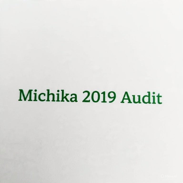 MICHIKA LG Financial Statement 2019