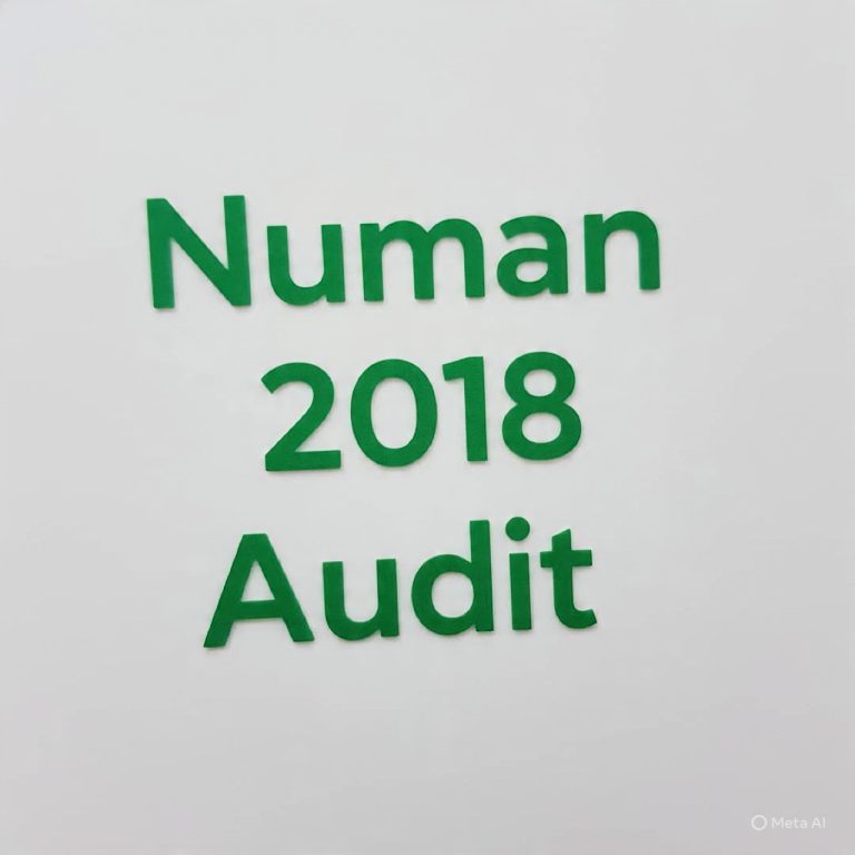 NUMAN LG Financial Statement 2018