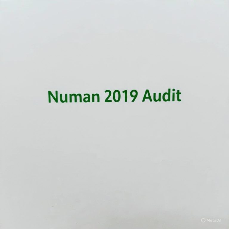 NUMAN LG Financial Statement 2019