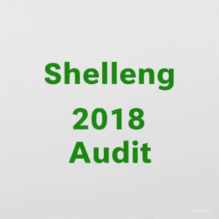 SHELLENG LG Financial Statement 2018