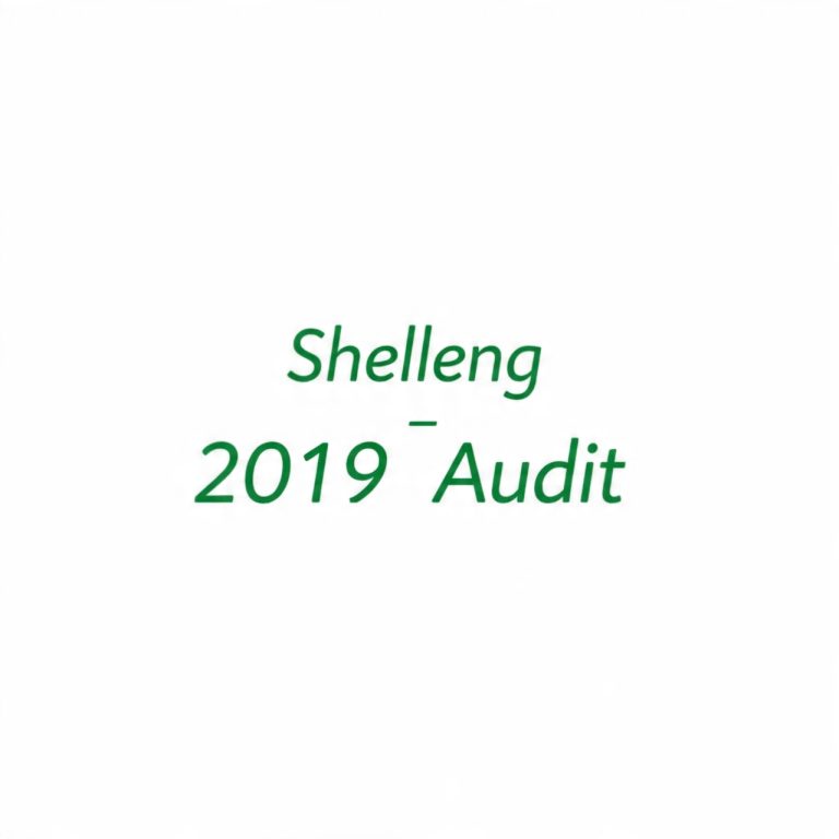 SHELLENG LG Financial Statement 2019