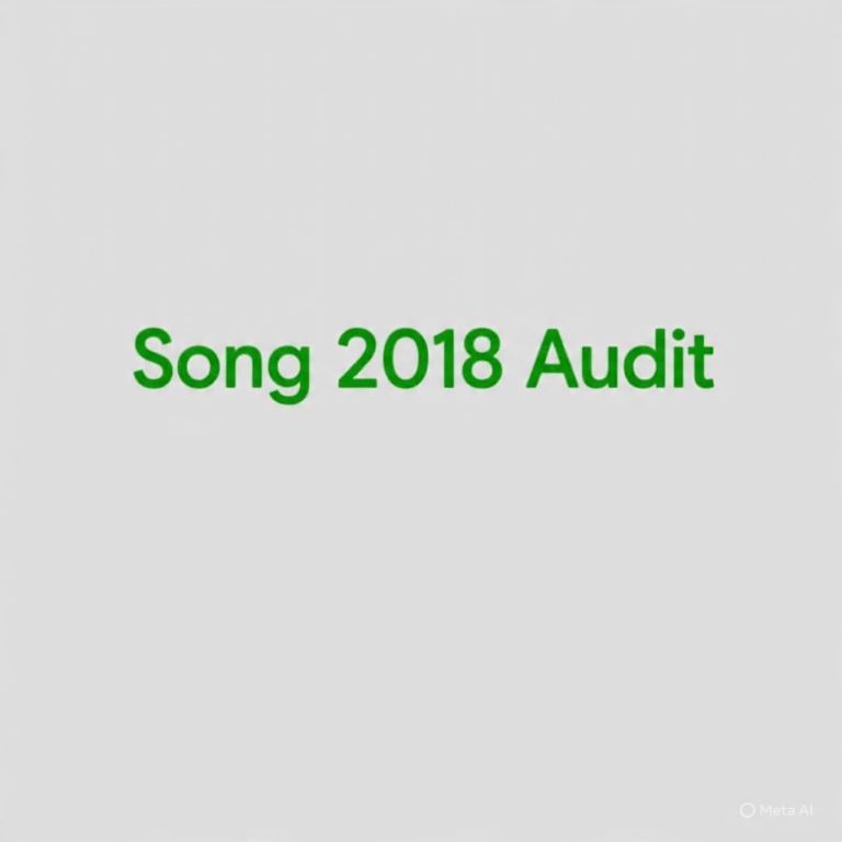 SONG LG Financial Statement 2018