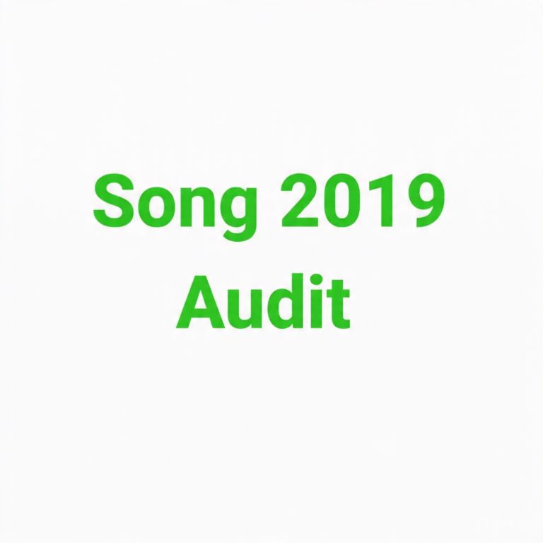 SONG LG Financial Statement 2019