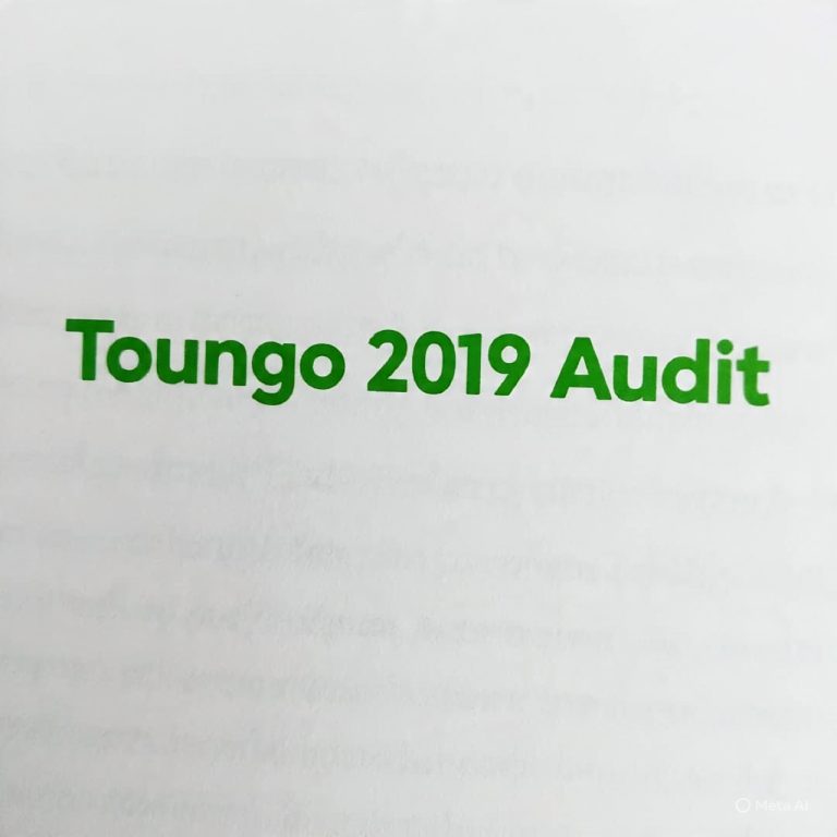 TOUNGO LG Financial Statement 2019