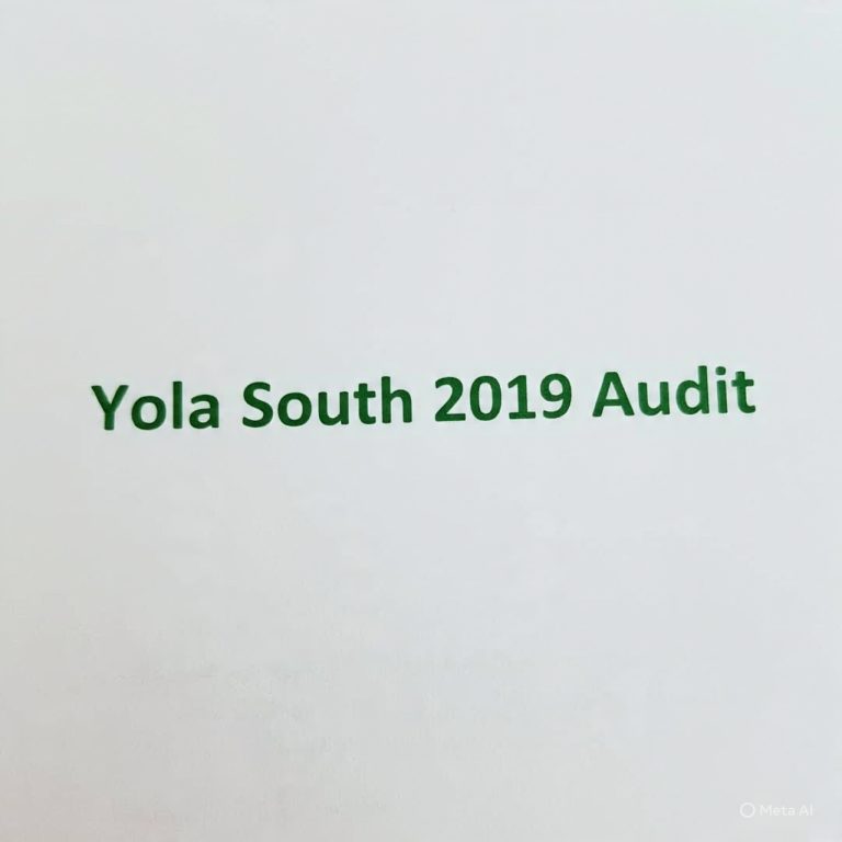 YOLA-SOUTH LG Financial Statement 2019