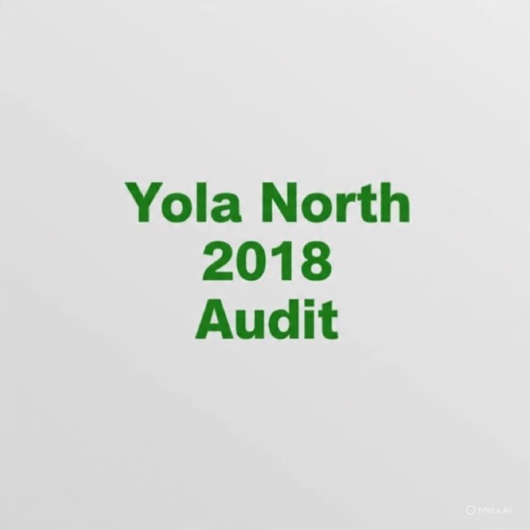 YOLA-NORTH LG Financial Statement 2018