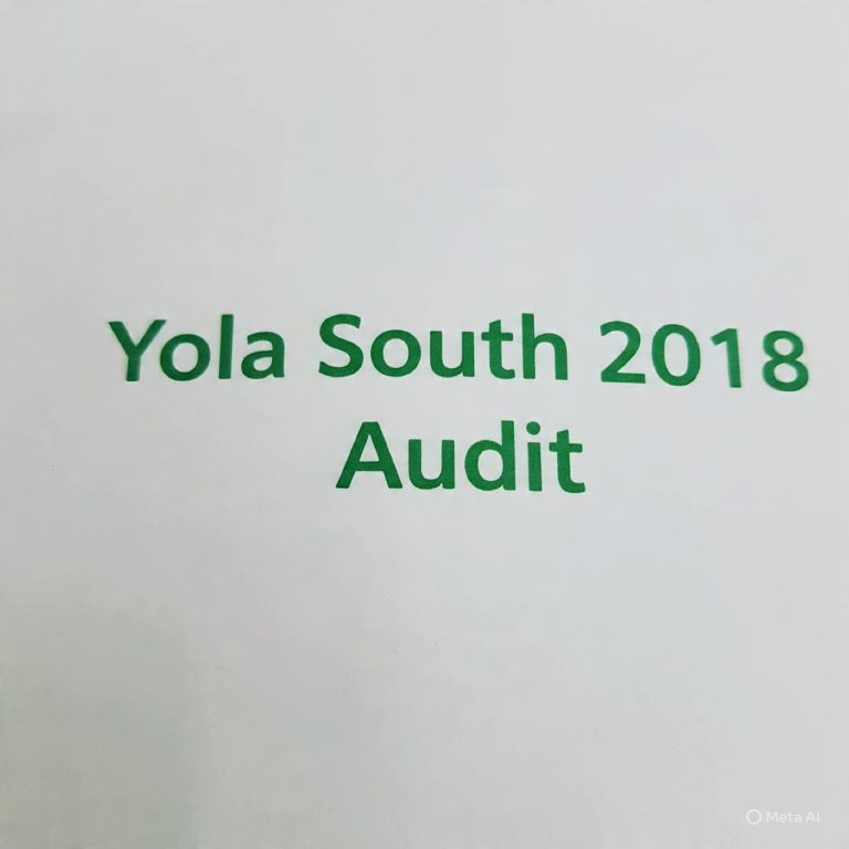 YOLA-SOUTH LG Financial Statement 2018