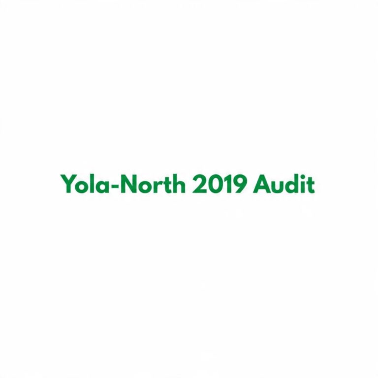 YOLA-NORTH LG Financial Statement 2019
